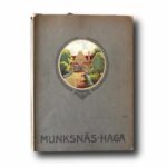 Photo showing the book Munksnäs-Haga och Stor-Helsingfors: Stadsplansstudier och förslag